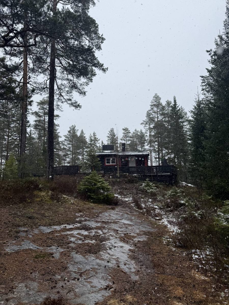 Hytte i skogen